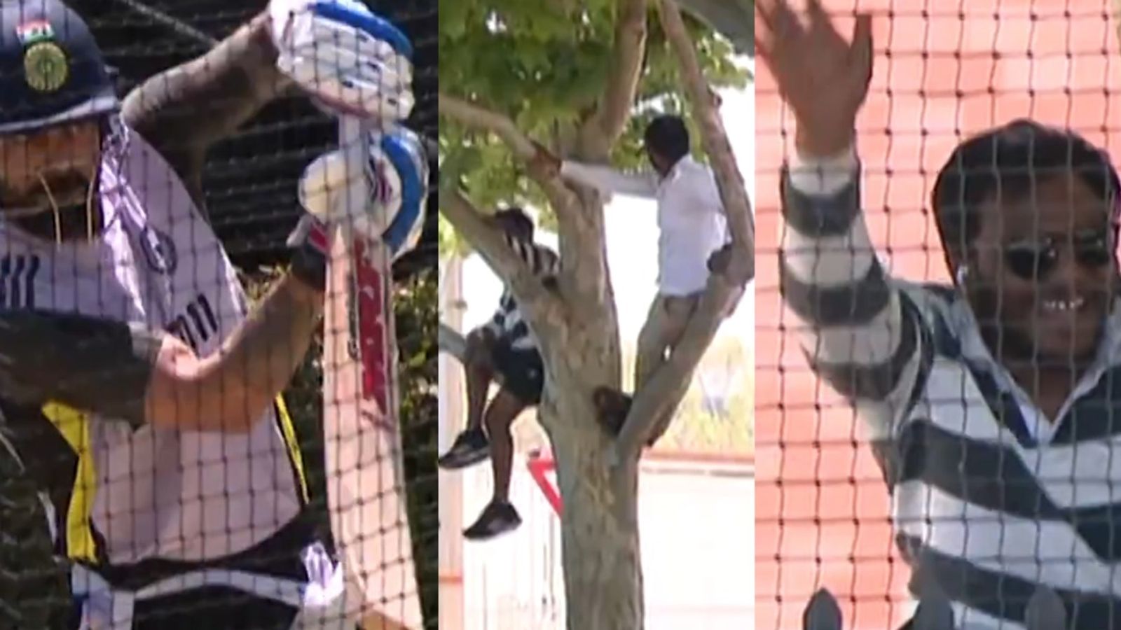 IND vs AUS, Virat Kohli : विराट कोहली की बैटिंग देखने के लिए ऑस्ट्रेलिया में पेड़ पर चढ़े फैंस, काले पर्दे भी नहीं आए काम, देखें ये मजेदार Video IND vs AUS, Virat Kohli : विराट कोहली की बैटिंग देखने के लिए ऑस्ट्रेलिया में पेड़ पर चढ़े फैंस, काले पर्दे भी नहीं आए काम, देखें ये मजेदार Video
