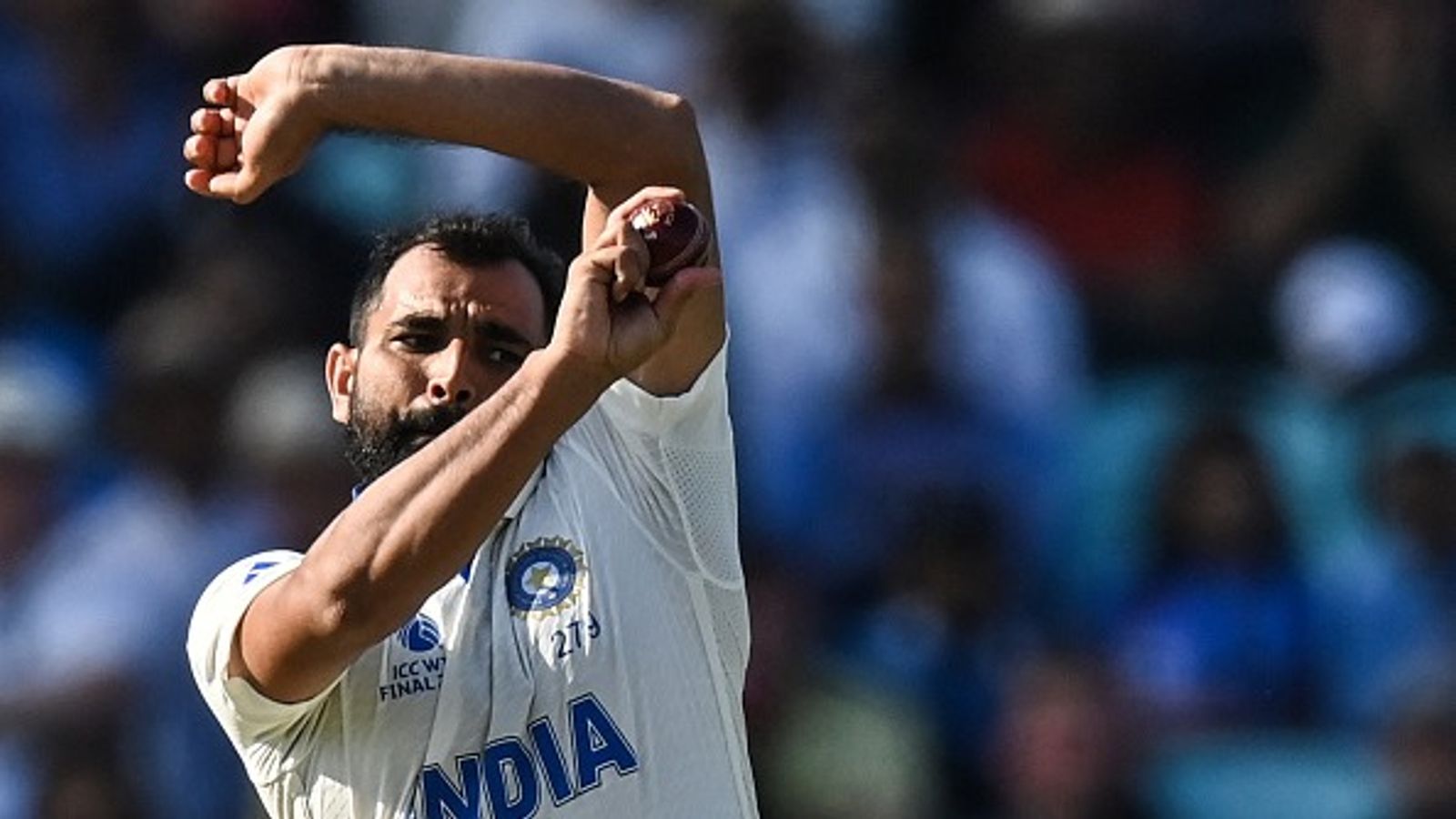 बॉर्डर- गावस्कर ट्रॉफी से ठीक पहले मोहम्मद शमी का टीम में हुआ चयन, रणजी में बवाल मचाने वाला गेंदबाज पूरा तैयार बॉर्डर- गावस्कर ट्रॉफी से ठीक पहले मोहम्मद शमी का टीम में हुआ चयन, रणजी में बवाल मचाने वाला गेंदबाज पूरा तैयार