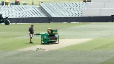 IND vs AUS: पिंक बॉल टेस्ट से पहले एडिलेड पिच में क्या दिखा? Exclusive तस्वीर आई सामने SportsTak Hindi