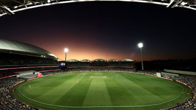 IND vs AUS पिंक बॉल टेस्ट में कैसी होगी पिच, कितनी रहेगी घास, क्यूरेटर ने दिए सारे जवाब, कहा- रफ्तार और उछाल तो... SportsTak Hindi