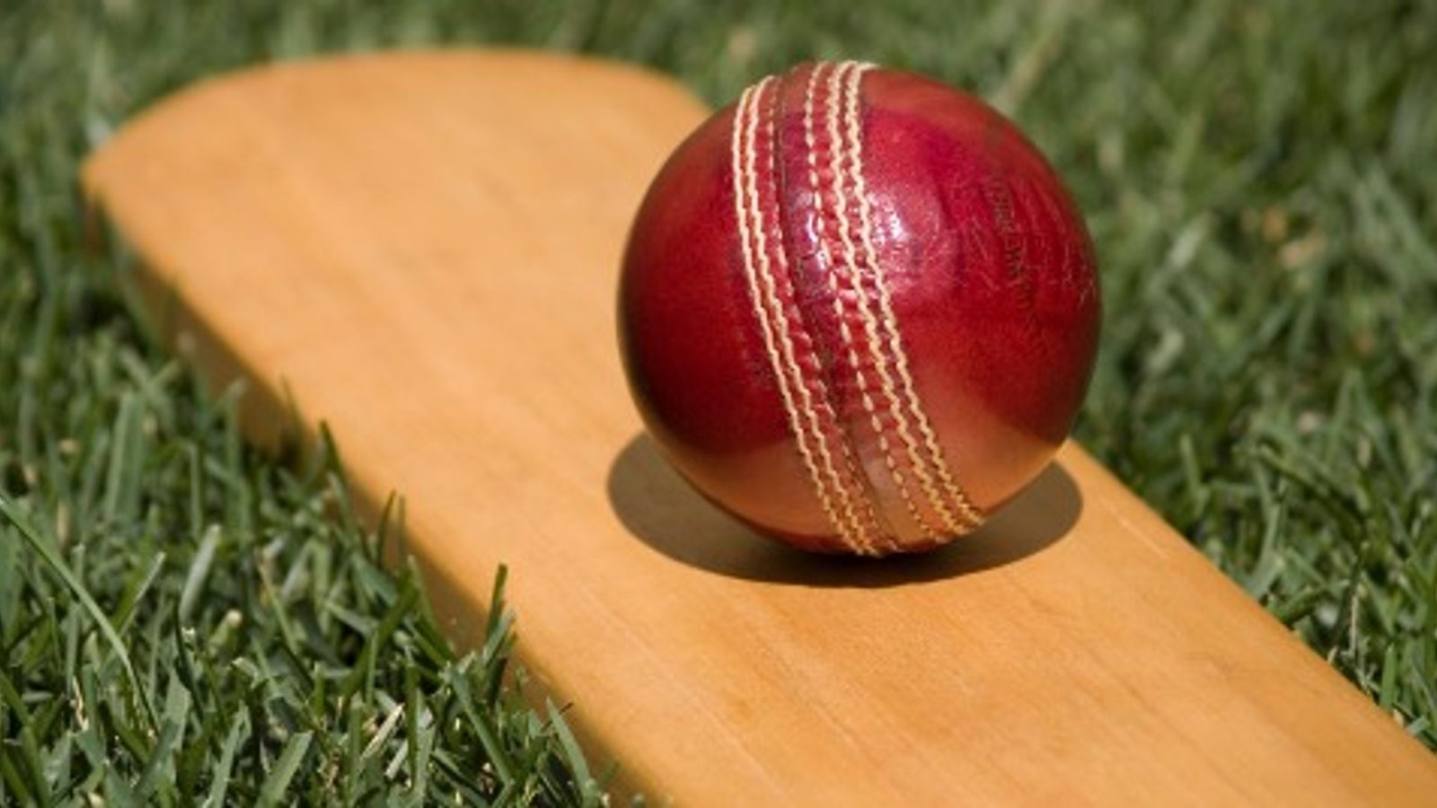 यूपी का बल्लेबाज पिच पर आया, 123 गेंदें खेलीं, 270 रन जड़े और चल दिया, 9 गेंदबाजों को निशाना बनाकर चौकों-छक्कों का लगाया मेला यूपी का बल्लेबाज पिच पर आया, 123 गेंदें खेलीं, 270 रन जड़े और चल दिया, 9 गेंदबाजों को निशाना बनाकर चौकों-छक्कों का लगाया मेला