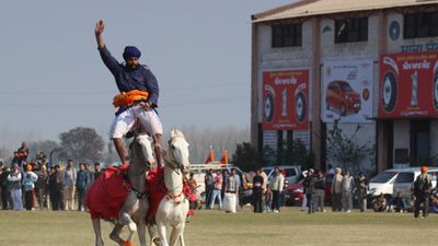 किला रायपुर के रूरल ओलिंपिक में गिल्ली-डंडा से लेकर स्टापू, गिटे और घिग्गर फिस्सी समेत ये गजब के खेल होते हैं शामिल SportsTak Hindi