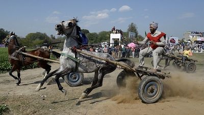 Kila Raipur Sports Festival 2025: किला रायपुर खेलों का कब और कैसे हुआ आगाज, हॉकी के एक टूर्नामेंट ने किस तरह शुरू की रूरल ओलिंपिक की दीवानगी किला रायपुर ओलिंपिक के दौरान भाग लेता प्रतिभागी