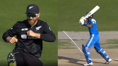 हार्दिक पंड्या के तेज शॉट को रोकने के बाद केन विलियम्सन ने क्या उनको दिखाई लात? VIDEO पर फैंस ने जमकर लिए मजे  Hardik Pandya and Kane Williamson