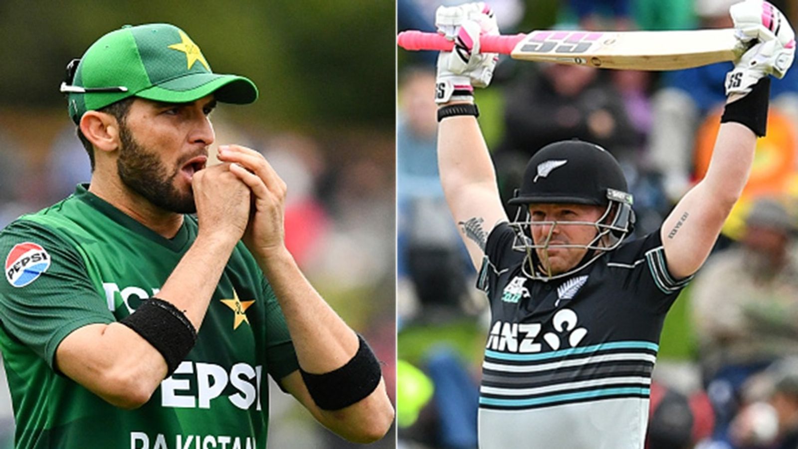 टिम सीफर्ट ने की शाहीन शाह अफरीदी की जमकर धुनाई, एक ओवर में उड़ाए चार छक्के, छह गेंदों में ठोके 26 रन, Video टिम सीफर्ट ने की शाहीन शाह अफरीदी की जमकर धुनाई, एक ओवर में उड़ाए चार छक्के, छह गेंदों में ठोके 26 रन, Video