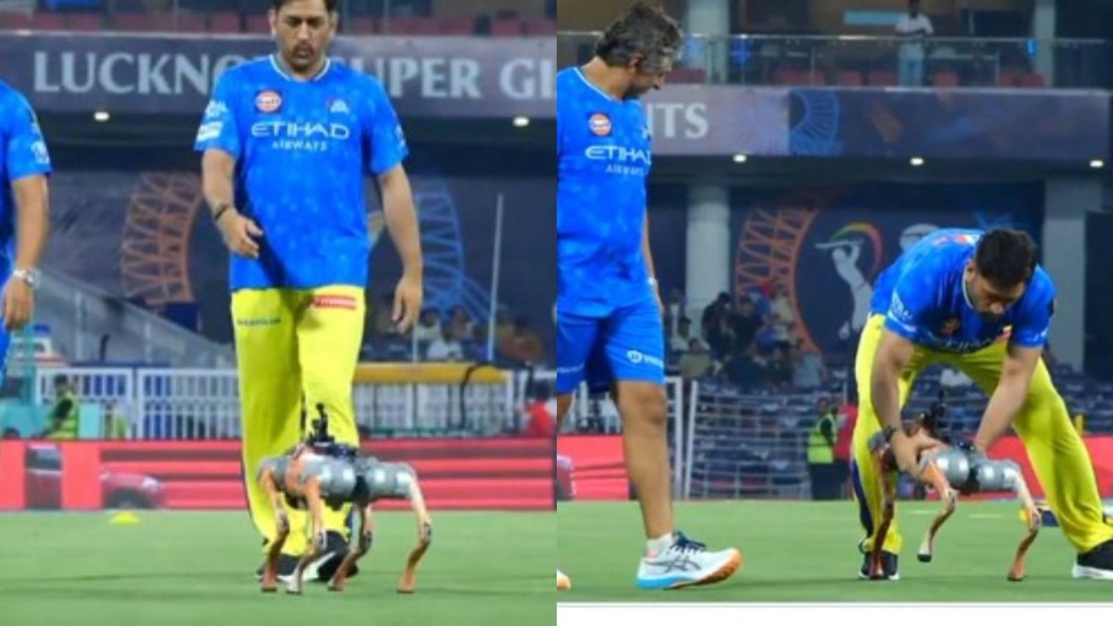 एमएस धोनी ने IPL के नए रोबोट डॉग को किया कंफ्यूज, माही के सामने फेल हो गई टेक्नोलॉजी, फैंस भी रह गए दंग, VIDEO एमएस धोनी ने IPL के नए रोबोट डॉग को किया कंफ्यूज, माही के सामने फेल हो गई टेक्नोलॉजी, फैंस भी रह गए दंग, VIDEO