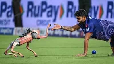 क्या IPL 2025 में अब नहीं दिखेगा रोबोट डॉग चंपक? BCCI को मिला नोटिस, जानें क्या है पूरा मामला SportsTak Hindi