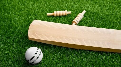 cricket set: bat ball stumps and bails cricket set: bat ball stumps and bails