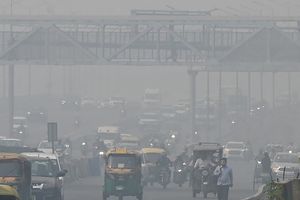 बड़ी खबर: एयर पॉल्यूशन के कारण दिल्ली से छिनी वनडे टूर्नामेंट के नॉकआउट्स की मेजबानी, अब मुंबई में खेले जाएंगे मुकाबले! SportsTak Hindi