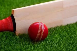 दिल्ली की क्रिकेट टीम के दो खिलाड़ियों पर नाबालिग से छेड़छाड़ का लगा आरोप, जानें क्या है मामला ? SportsTak Hindi