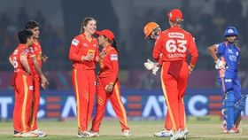 gujarat giants players gujarat giants players