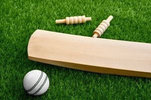 मैच के दौरान मधुमक्खियों के हमले से भारतीय अंपायर की मौत, टी20 वर्ल्ड कप 2026 के बीच आई बुरी खबर SportsTak Hindi