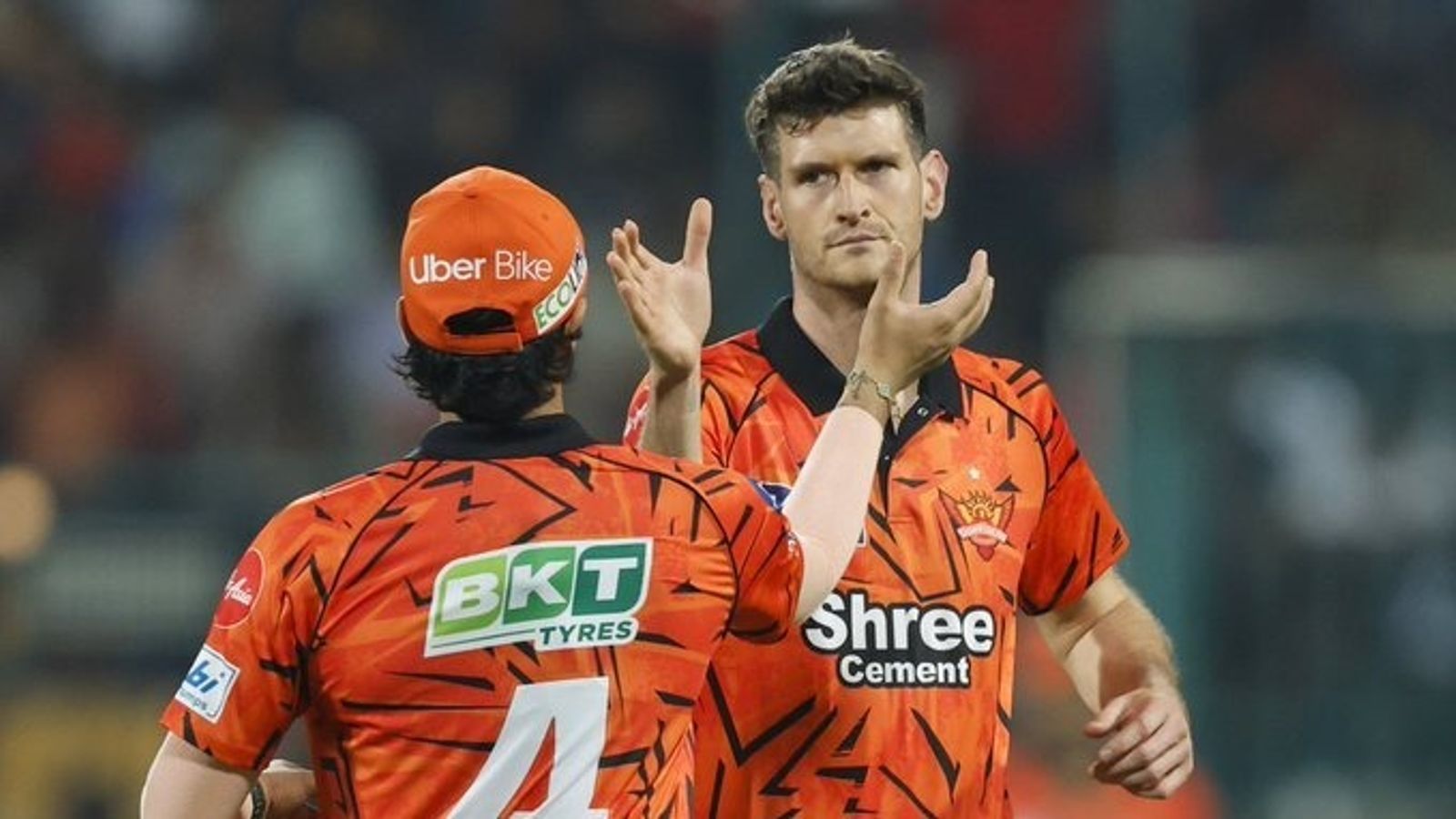 बड़ी खबर : SRH पर टूटा मुसीबतों का पहाड़! टीम का तीसरा तेज गेंदबाज हुआ IPL से बाहर इशान किशन के साथ डेविड पेन