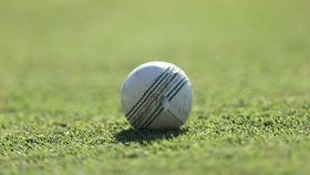 cricket ball cricket ball