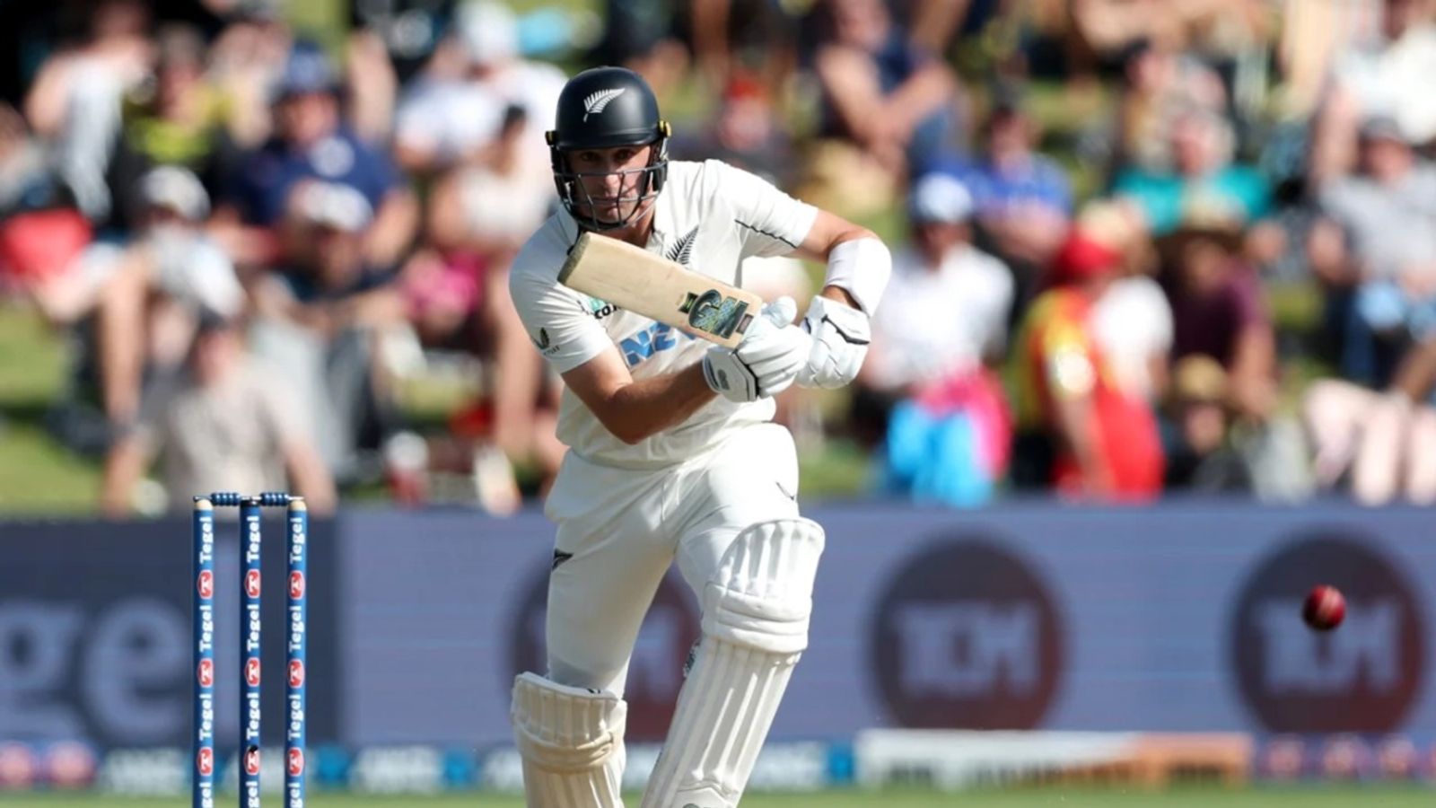 ENGvsNZ: केन विलियमसन के रिटायर होने पर इस सूरमा की न्यूजीलैंड टीम में एंट्री, इंग्लैंड सीरीज के लिए मिला बुलावा विल यंग न्यूजीलैंड के बल्लेबाज हैं. (Photo: Getty)