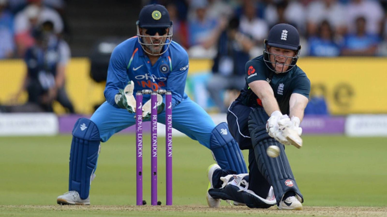 Dhoni is to India what Morgan is to England: Karthik compares two exemplary captains Dhoni is to India what Morgan is to England: Karthik compares two exemplary captains