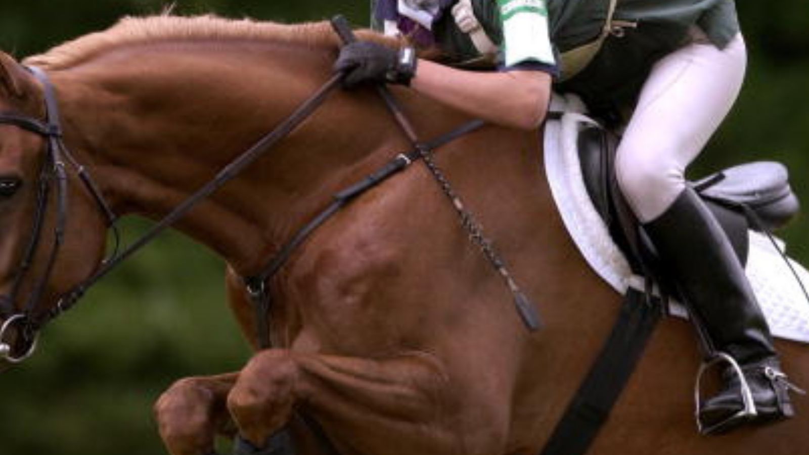 ITPF asks the four Indian equestrians to be banned for two years for playing with the fake team ITPF asks the four Indian equestrians to be banned for two years for playing with the fake team