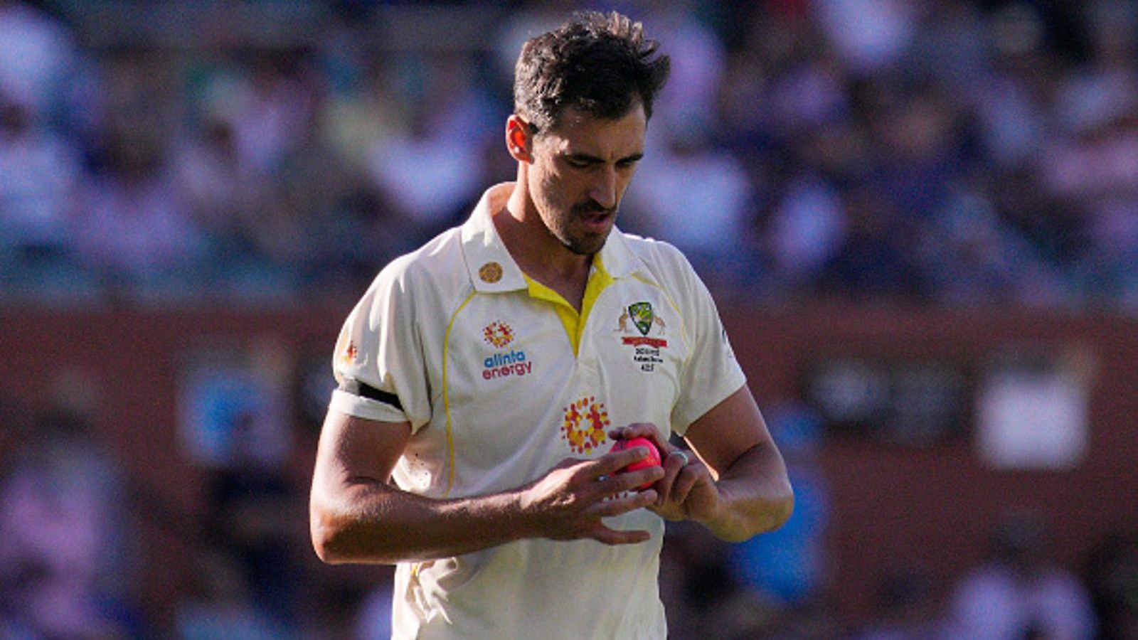 Mitchell Starc becomes 1st bowler to strike half-century of wickets in pink-ball Tests Mitchell Starc becomes 1st bowler to strike half-century of wickets in pink-ball Tests