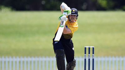 11 fours, 11 sixes! New Zealand batsman pulls off record chase with blinding 141 SportsTak