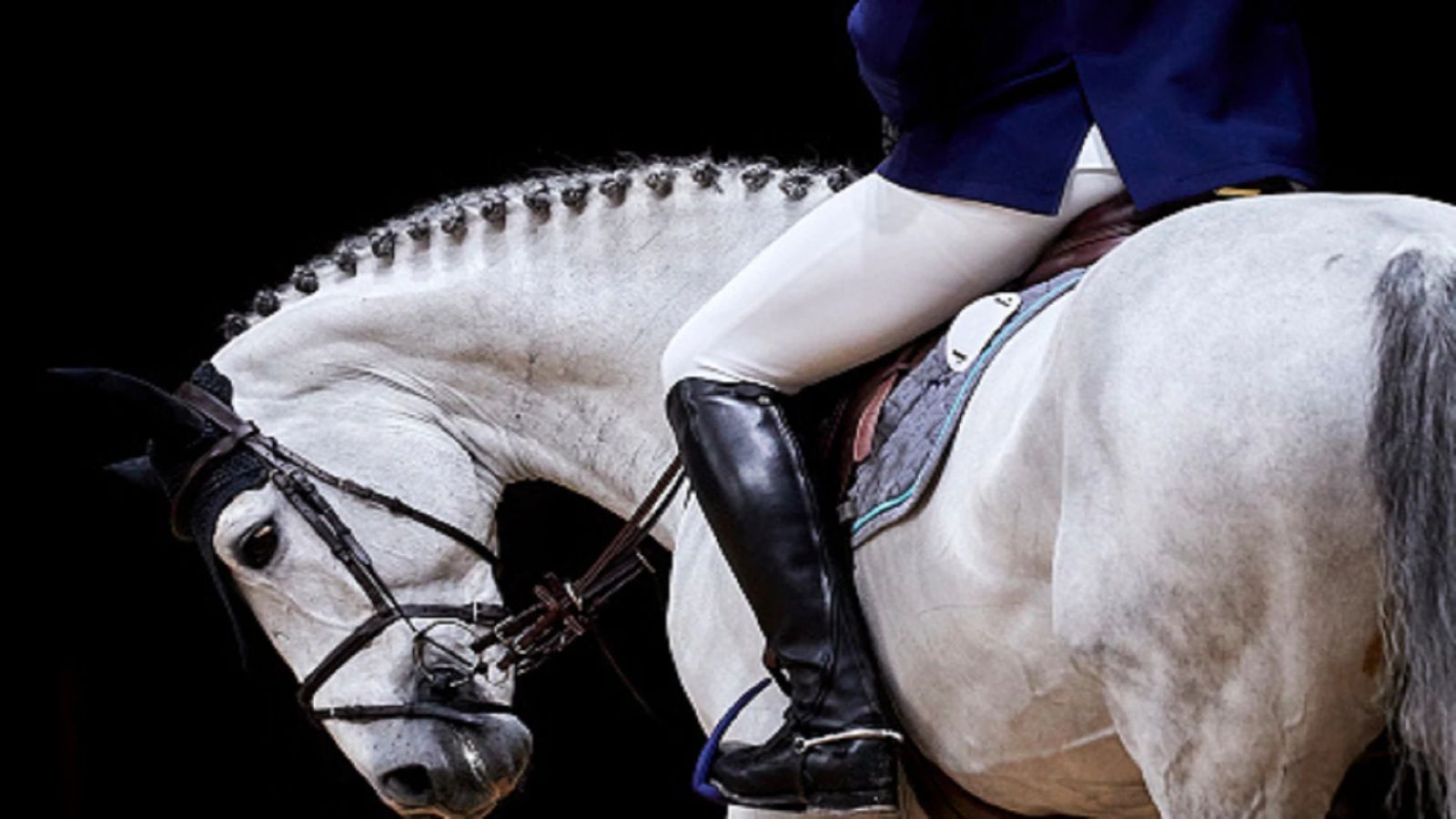 Four Indian horsemen found representing Nepal in Tent Pegging WC qualifier, IOA chief seeks clarification from EFI Four Indian horsemen found representing Nepal in Tent Pegging WC qualifier, IOA chief seeks clarification from EFI