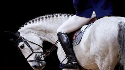 Four Indian horsemen found representing Nepal in Tent Pegging WC qualifier, IOA chief seeks clarification from EFI SportsTak