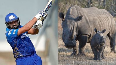Rohit Sharma's maximum against GT earns Rhinos Rs 5 Lakhs: Here's why SportsTak