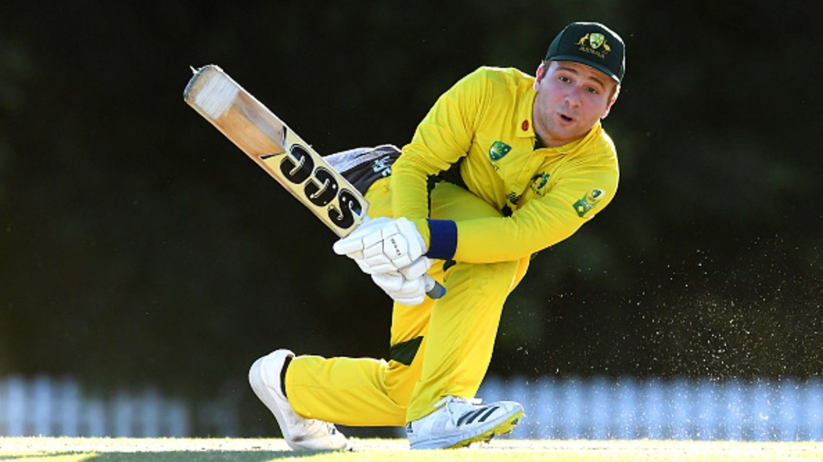 309 off 140: History made as Aussie cricketer shatters record with towering triple century in One-Dayer 309 off 140: History made as Aussie cricketer shatters record with towering triple century in One-Dayer