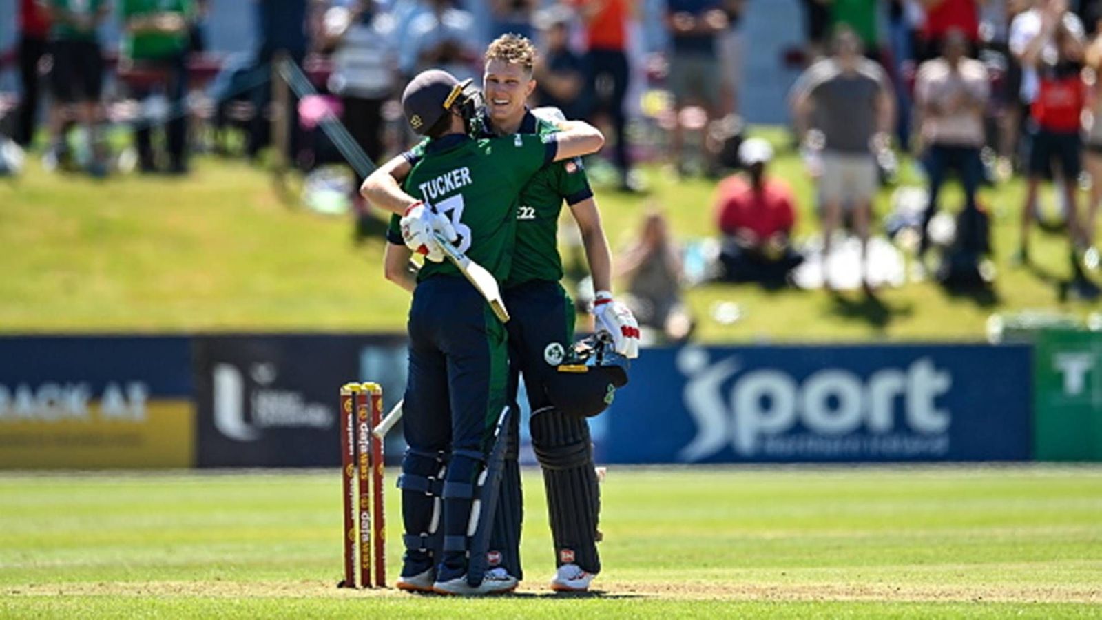 Highlighted by Hardik Pandya as IPL material, Irish batter Harry Tector slams maiden ODI century against New Zealand Highlighted by Hardik Pandya as IPL material, Irish batter Harry Tector slams maiden ODI century against New Zealand