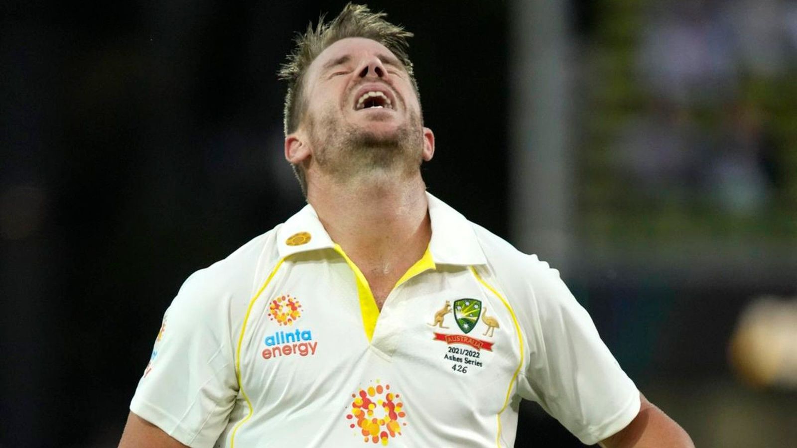 'End Warner's captaincy ban, he has served his punishment': Australia cricket legend 'End Warner's captaincy ban, he has served his punishment': Australia cricket legend