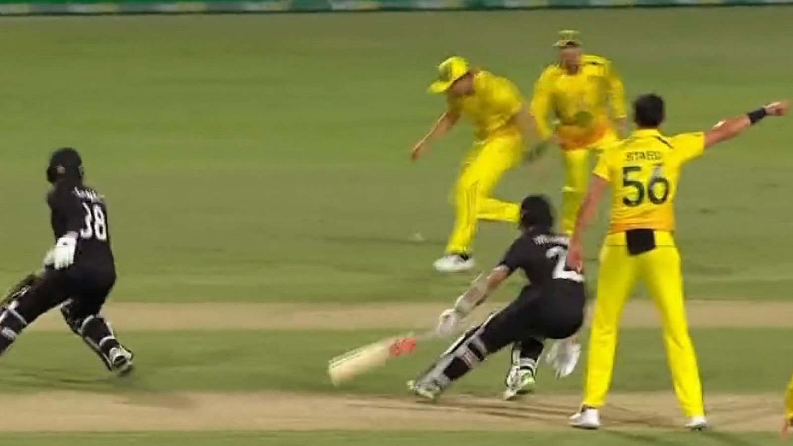 Watch: 'Mayhem in the middle' as Australia fail to cash in on a bizarre mix-up between New Zealand batters Watch: 'Mayhem in the middle' as Australia fail to cash in on a bizarre mix-up between New Zealand batters