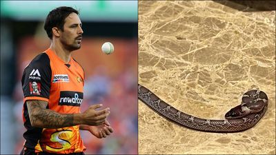 Mitchell Johnson encounters snake behind his hotel room in Lucknow during Legends League Cricket 2022 SportsTak
