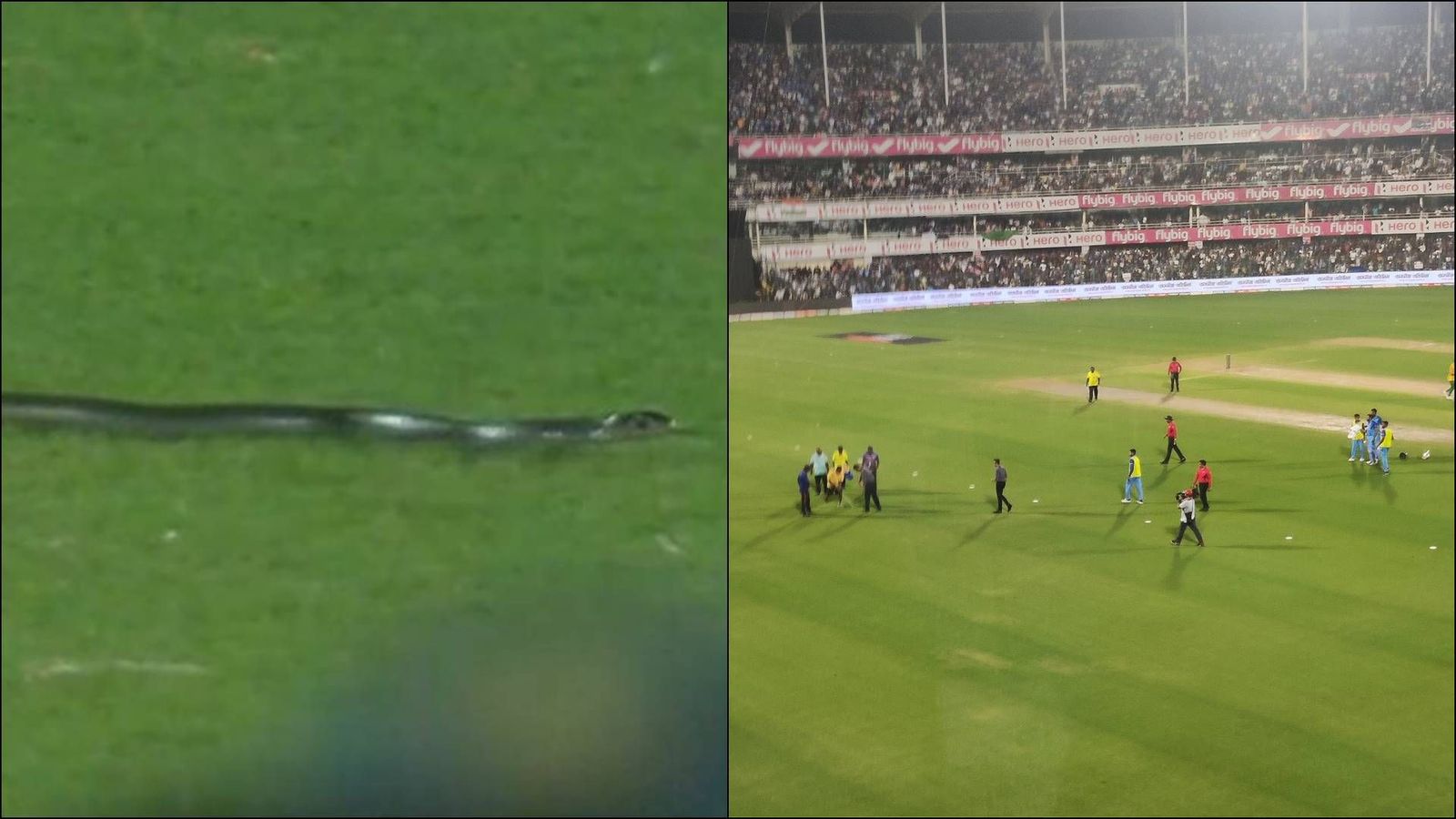 WATCH: Snake interrupts India vs South Africa 2nd T20I in Guwahati, groundsmen come to the rescue WATCH: Snake interrupts India vs South Africa 2nd T20I in Guwahati, groundsmen come to the rescue