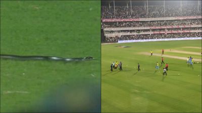 WATCH: Snake interrupts India vs South Africa 2nd T20I in Guwahati, groundsmen come to the rescue SportsTak