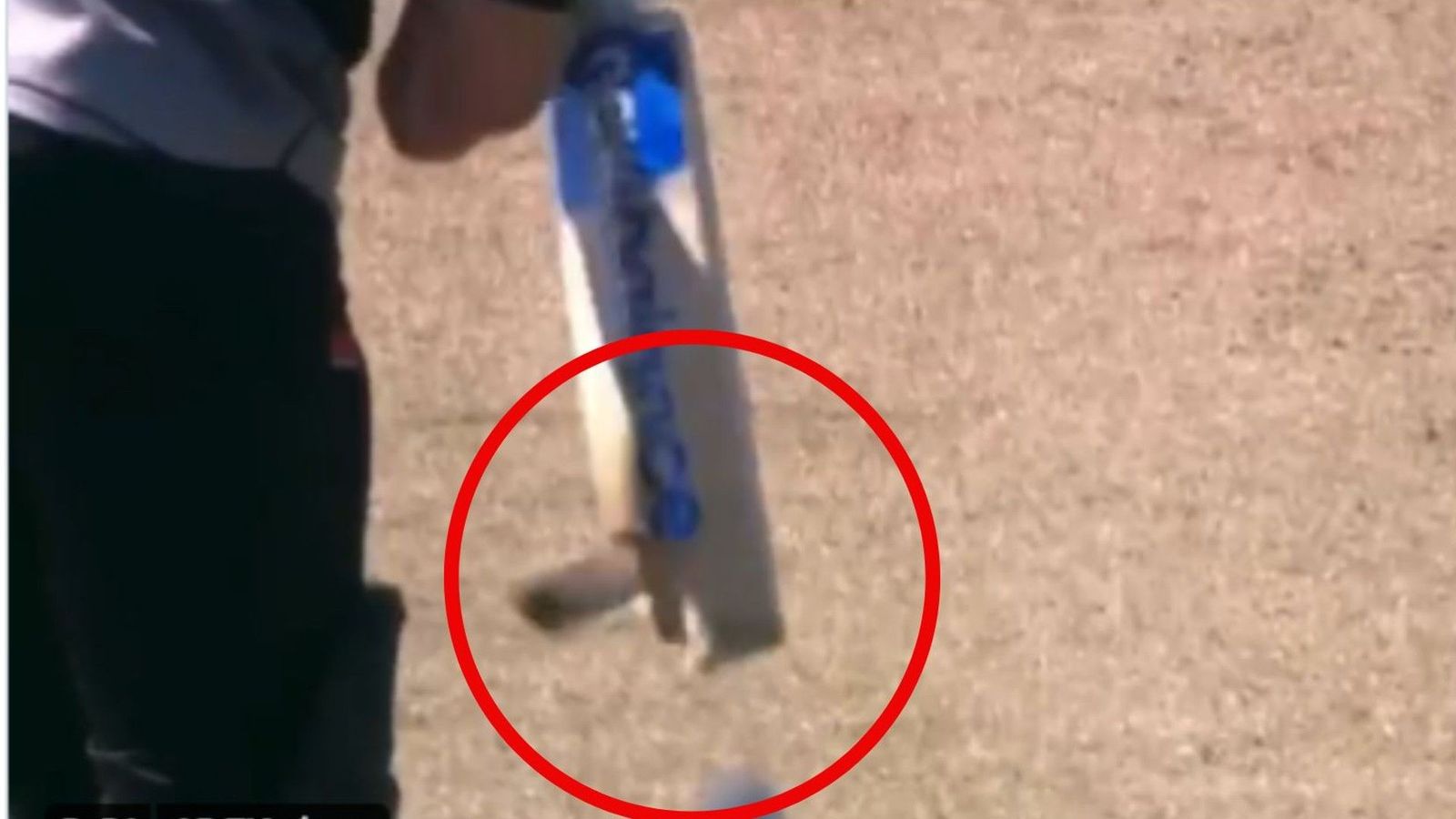 Watch: Haris Rauf's lethal delivery blows Glenn Phillips' bat into smithereens during Pakistan-NZ match Watch: Haris Rauf's lethal delivery blows Glenn Phillips' bat into smithereens during Pakistan-NZ match