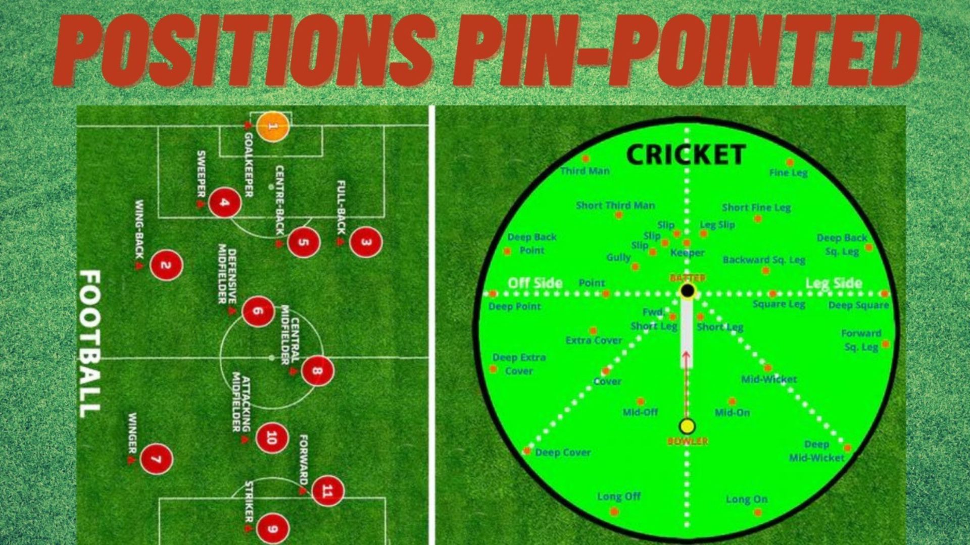 Sports Tak special: What are the different positions on the field in different sports? Sports Tak special: What are the different positions on the field in different sports?