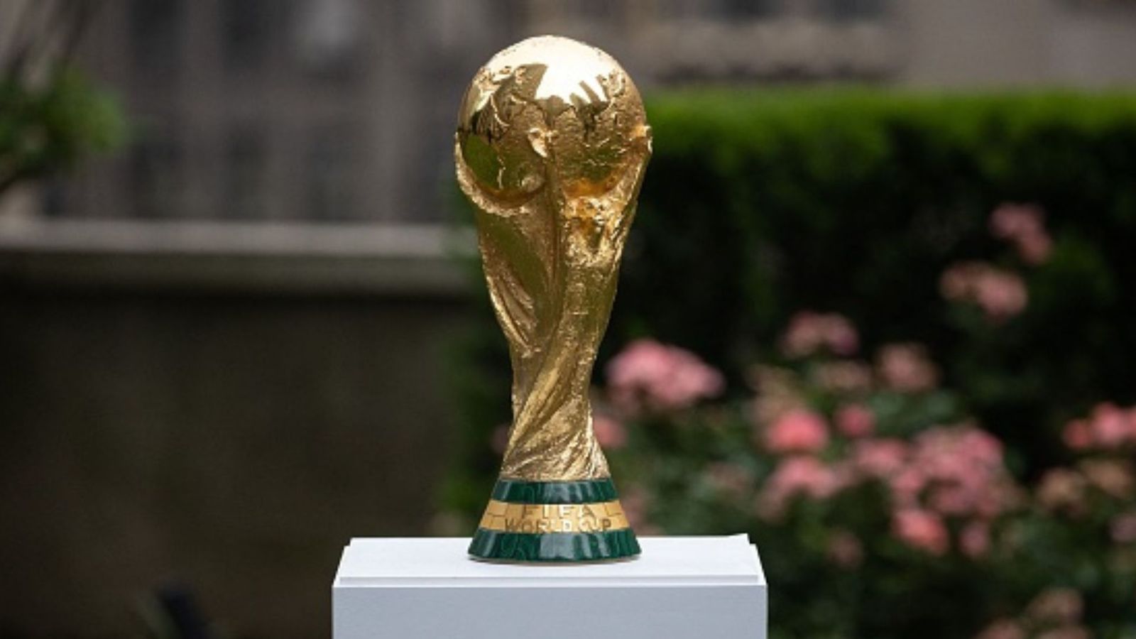 Sports Tak prediction: Which team will go all the way at the 2022 FIFA World Cup in Qatar Sports Tak prediction: Which team will go all the way at the 2022 FIFA World Cup in Qatar