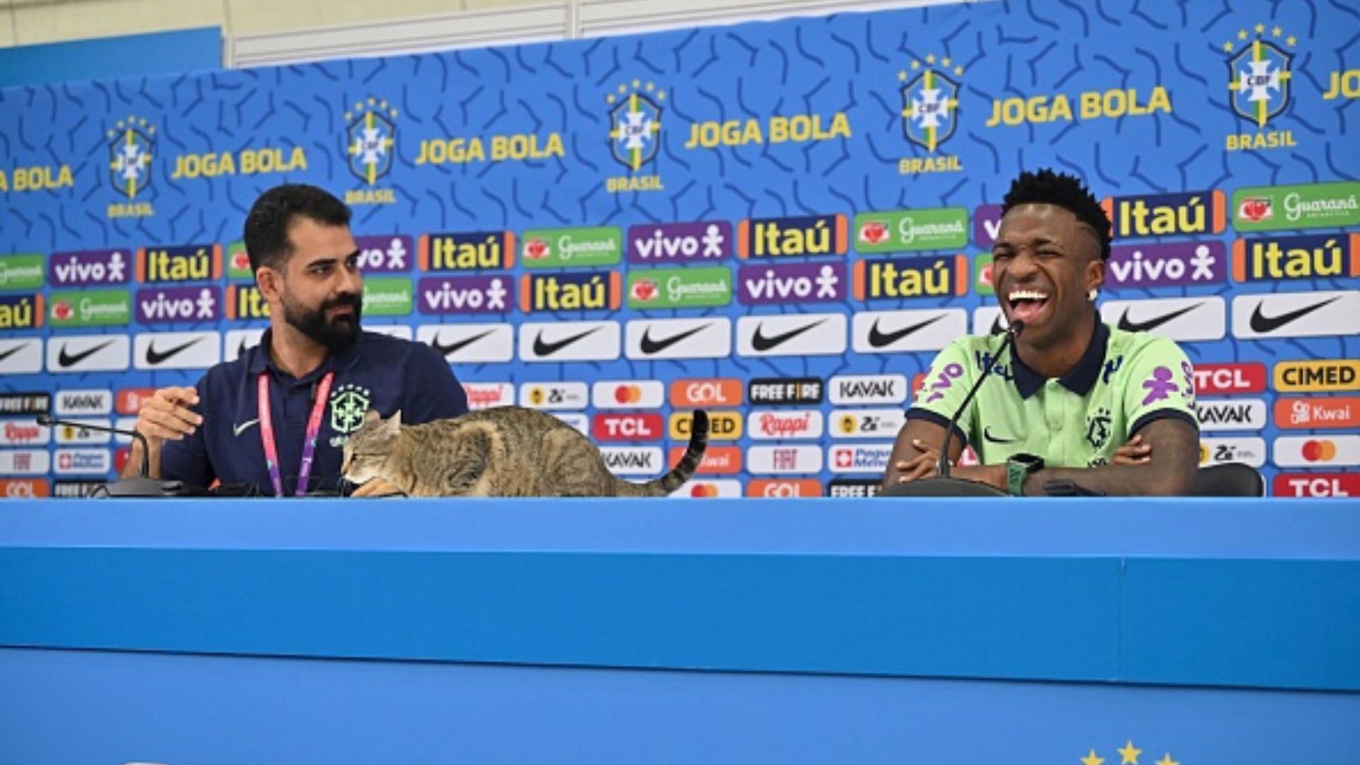 Watch: 'Cat me if you can!' Brazil media manager gets 'furry-ious' during superstar Vinicius Jr.'s pre-match press conference SportsTak