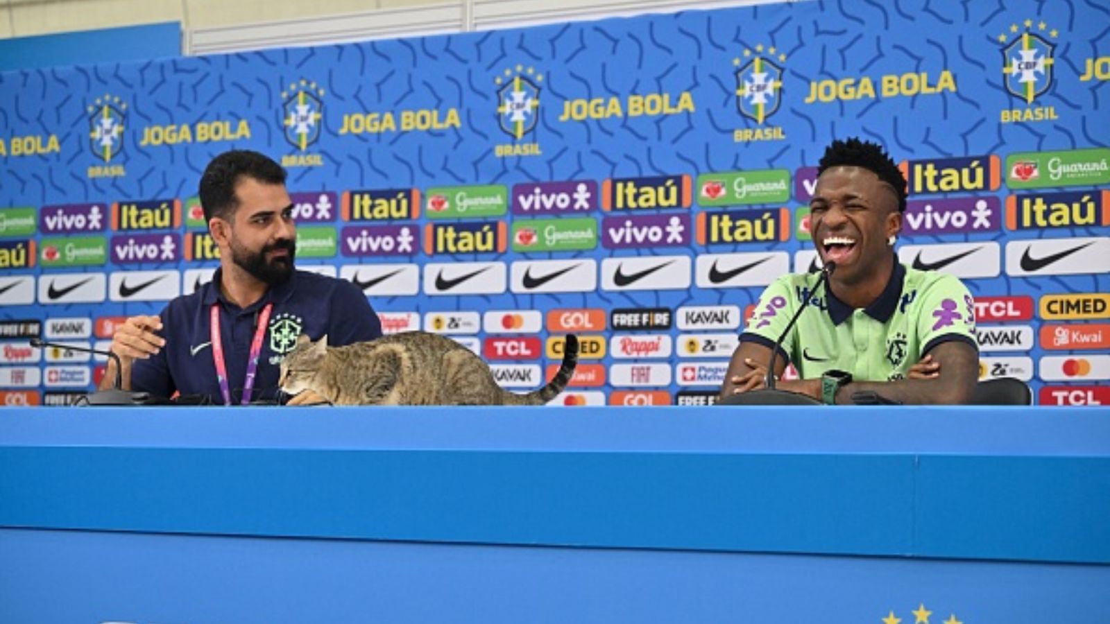 Watch: 'Cat me if you can!' Brazil media manager gets 'furry-ious' during superstar Vinicius Jr.'s pre-match press conference Watch: 'Cat me if you can!' Brazil media manager gets 'furry-ious' during superstar Vinicius Jr.'s pre-match press conference