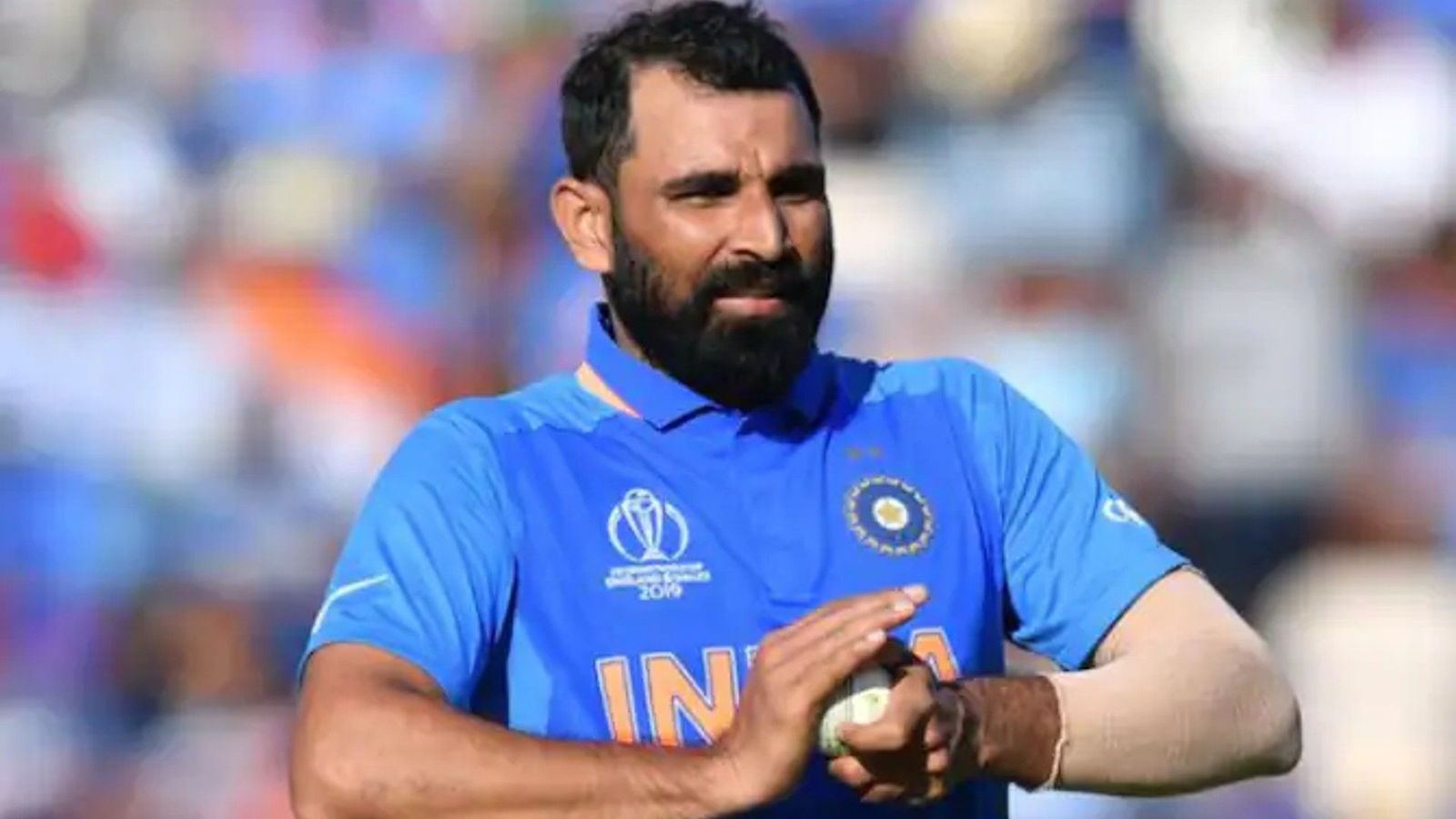 Big News: Star bowler set to replace Mohammed Shami in India's squad for Bangladesh Test series Big News: Star bowler set to replace Mohammed Shami in India's squad for Bangladesh Test series