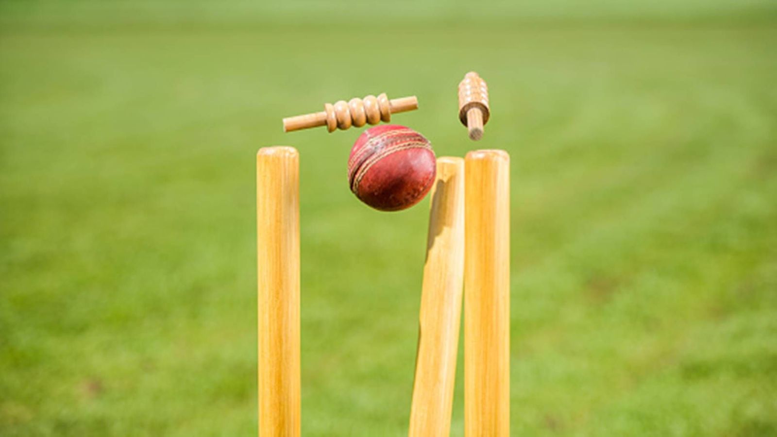 From 389 in first innings to 25 all out: Two left-arm spinners become Nagaland's doom as 7 batters bag ducks in Ranji Trophy From 389 in first innings to 25 all out: Two left-arm spinners become Nagaland's doom as 7 batters bag ducks in Ranji Trophy