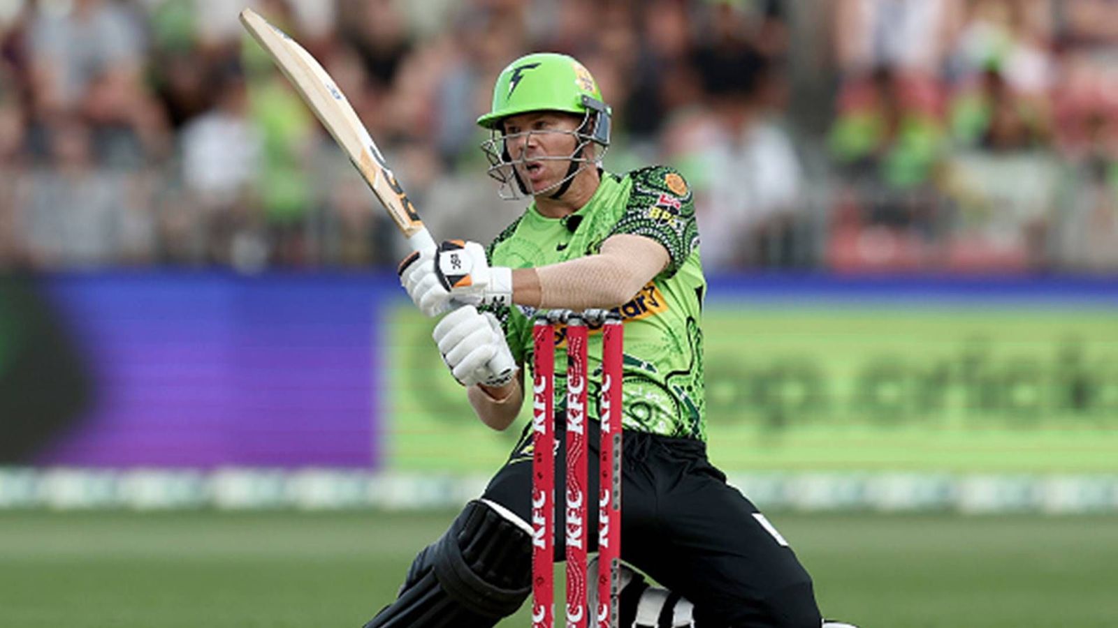 David Warner makes a dull return to BBL after 9-year hiatus David Warner makes a dull return to BBL after 9-year hiatus