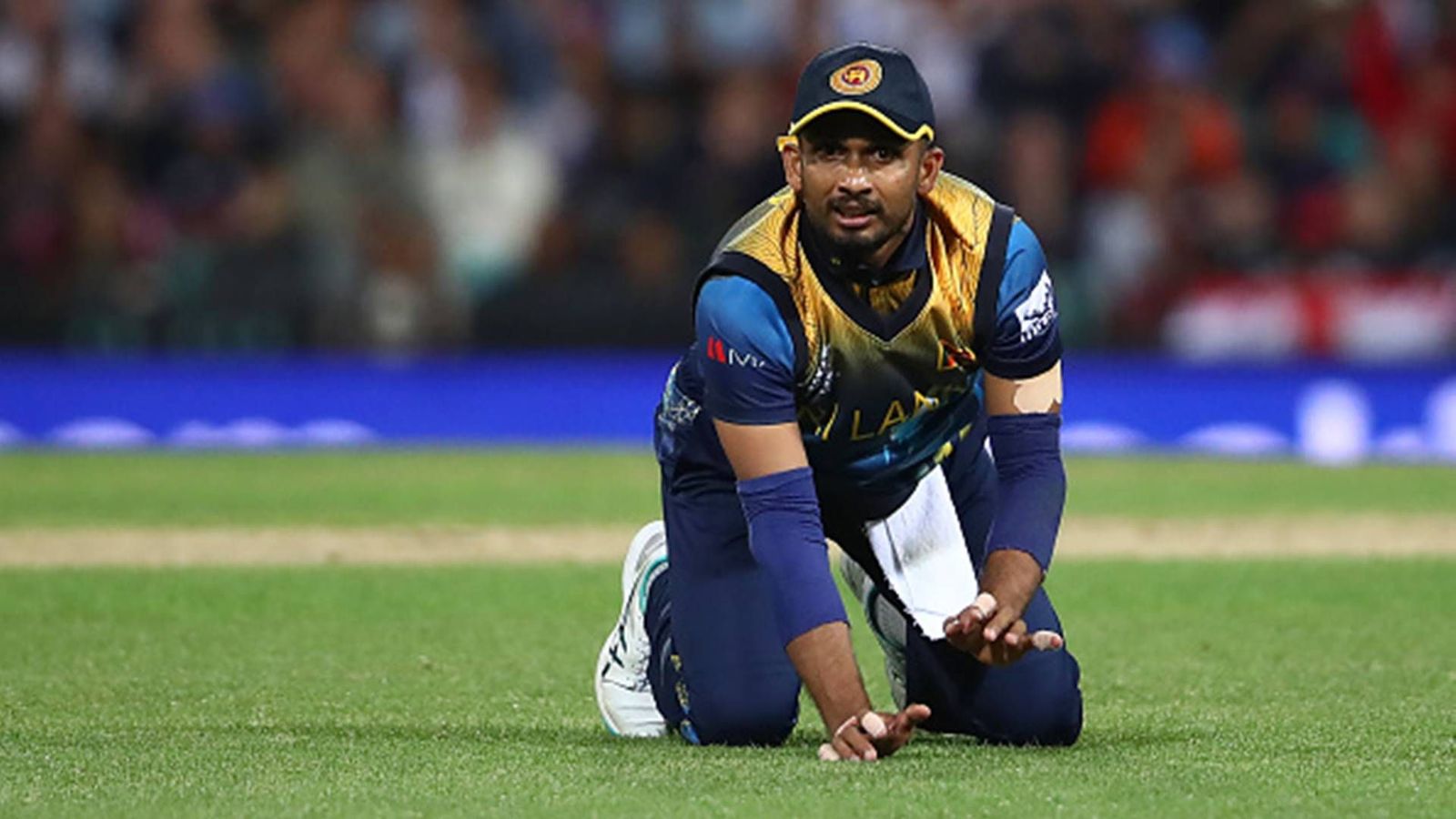 Sri Lanka Cricket board wants detailed report within 5 days after massive 317-run defeat in third ODI to India Sri Lanka Cricket board wants detailed report within 5 days after massive 317-run defeat in third ODI to India