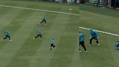 One ball, four fielders and what happens next redefines the definition of 'hunting in packs'; watch hilarious video! SportsTak