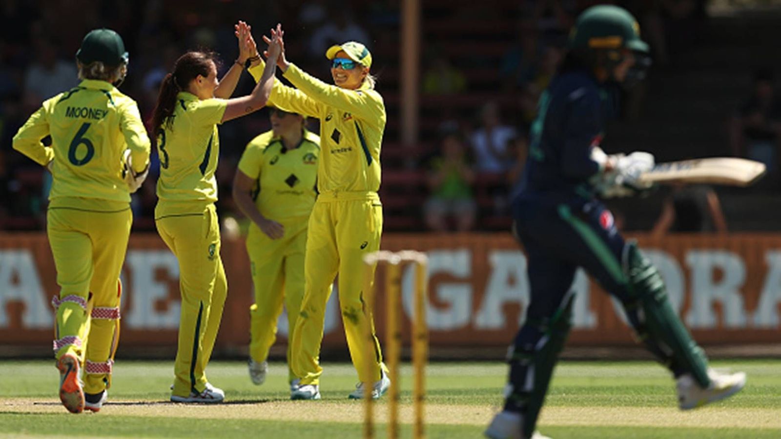 Australian pacer Megan Schutt rips through Pakistan batting lineup with fifer, becomes only third bowler to achieve rare feat Australian pacer Megan Schutt rips through Pakistan batting lineup with fifer, becomes only third bowler to achieve rare feat