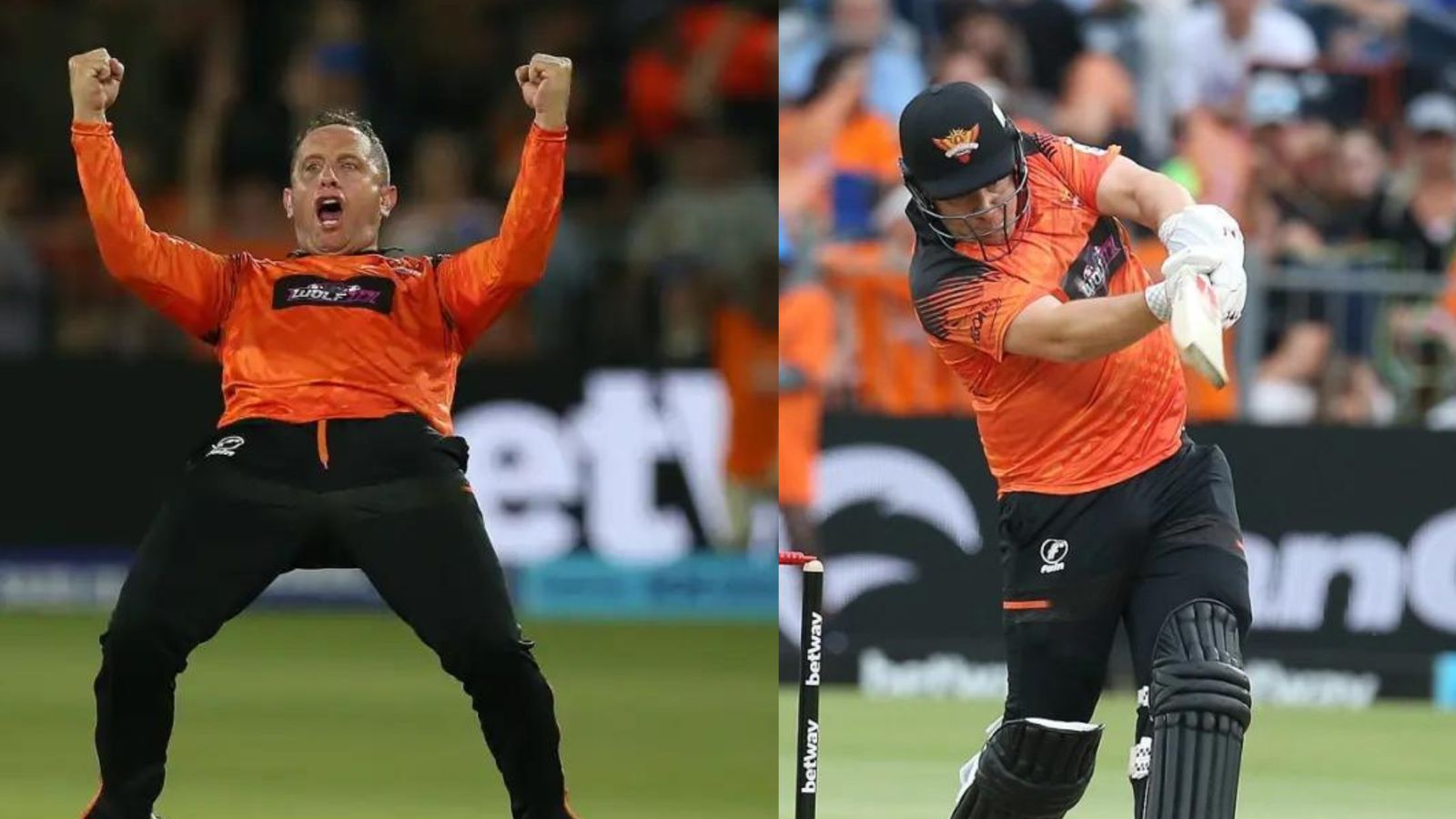 Netherlands' 38-year-old all-rounder's four-fer helps Aiden Markram's Sunrisers clinch inaugural SA20 title Netherlands' 38-year-old all-rounder's four-fer helps Aiden Markram's Sunrisers clinch inaugural SA20 title