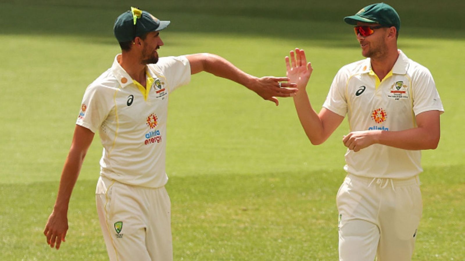 Star Australian pacer ruled out of Border-Gavaskar Trophy, Cameron Green declared fit for Indore Test Star Australian pacer ruled out of Border-Gavaskar Trophy, Cameron Green declared fit for Indore Test