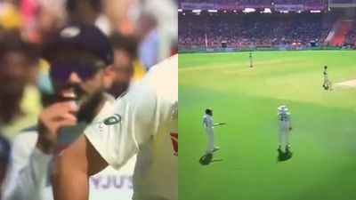 IND vs AUS: 'Hungry' Virat Kohli snacks on energy bar at slips before sharing a piece of pie with Shreyas Iyer; video goes viral SportsTak