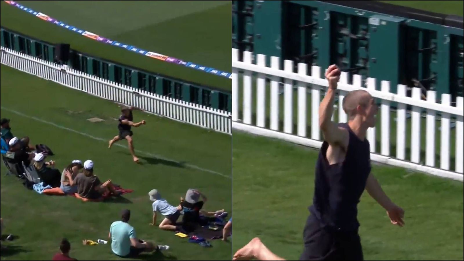Watch | Best crowd catch ever? Spectator sprints and takes a one-handed stunner during NZ vs SL 1st Test Watch | Best crowd catch ever? Spectator sprints and takes a one-handed stunner during NZ vs SL 1st Test