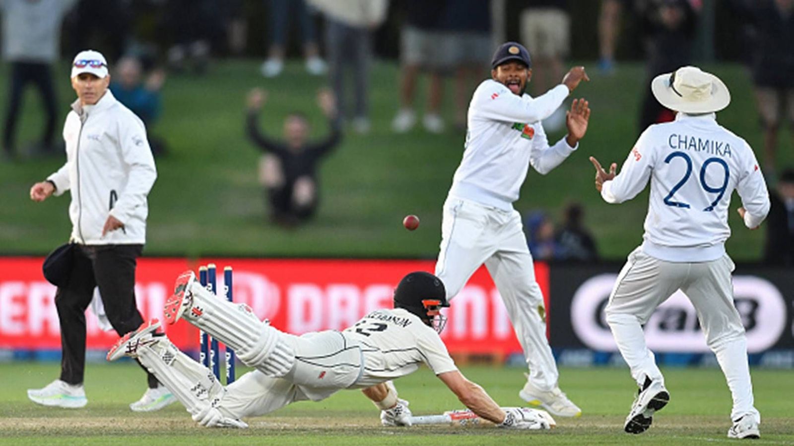 Watch | How Kane Williamson's 'dive of a lifetime' helped New Zealand achieve 1st last-ball Test win in 74 years Watch | How Kane Williamson's 'dive of a lifetime' helped New Zealand achieve 1st last-ball Test win in 74 years