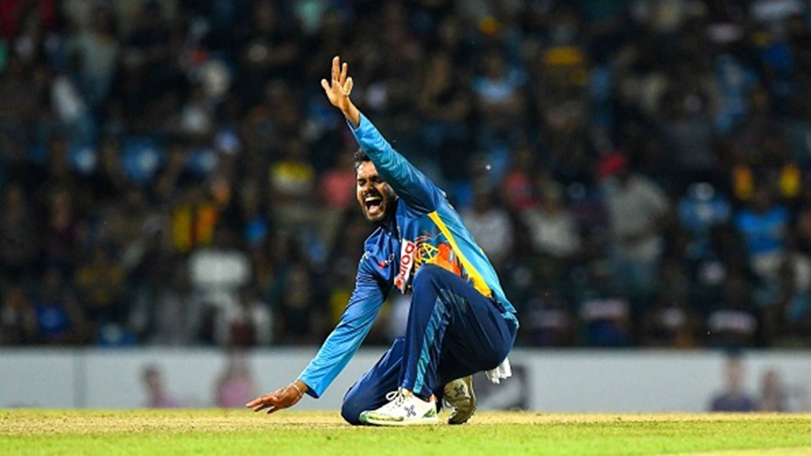 Sri Lanka's Dhananjaya de Silva slams fake news, 'says I did not refuse to bat at no.7' against New Zealand Sri Lanka's Dhananjaya de Silva slams fake news, 'says I did not refuse to bat at no.7' against New Zealand